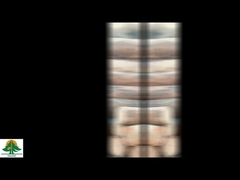 Φυσικό ξύλο καπλαμά