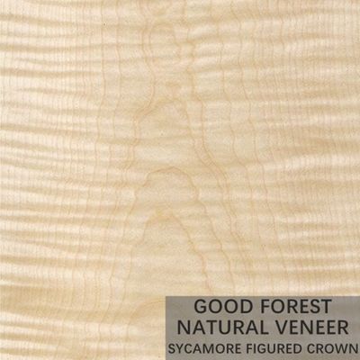Φυσικός λογαριασμένος Sycamore ξύλινος καπλαμάς 0.3mm - 0.5mm για τις εσωτερικές πόρτες