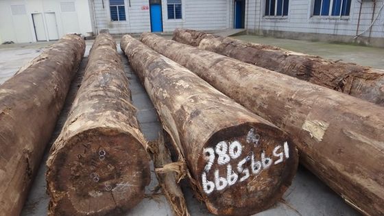 Επικεφαλαιοποιημένο Santos Rosewood Wood Veneer Crown Σκάρτος κόκκους μπορεί να προσαρμοστεί 0.15-1.8mm Για Για το πρόσωπο του ντουλάπι