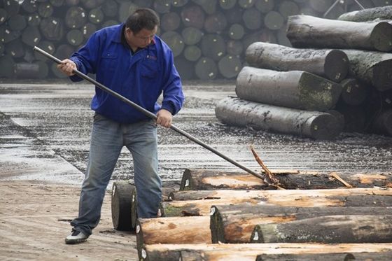Φανταστικό ξύλινο επένδυμα Santos Rosewood ανθρωπογενές επένδυμα φύλλο 2050-3200mm Για μουσικό όργανο Κίνα εργοστάσιο