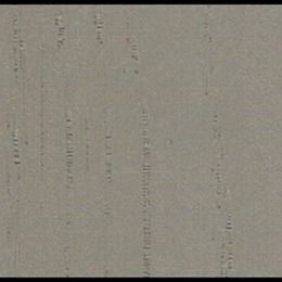 Διακοσμητικές επιφάνειες υποστρωμάτων ταινιών ολκιμότητας PP με το σιτάρι βροχής της Misty