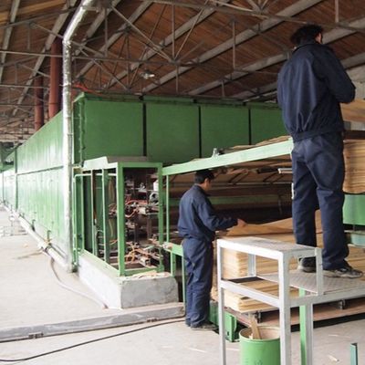 Άσπρες κατασκευασμένες βερίκοκο ξύλινες τεχνικές περικοπών φετών καπλαμάδων H86C για την κάλυψη τοίχων