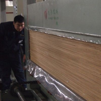 Άσπρο βερίκοκο H06C 0.150.6mm σιταριού κορωνών καπλαμάδων επίπλων προκαλούμενο από τον άνθρωπο ξύλινο κουρεμένο πίσω