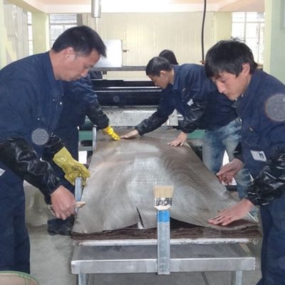 Η άσπρη δρύινη προκαλούμενη από τον άνθρωπο κορώνα H8105C έκοψε το 3100mm κατασκευασμένο ξύλινο καπλαμά δημοφιλή για τις πόρτες
