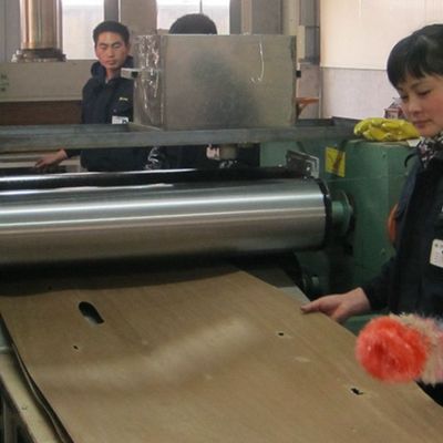 Επανασυντεθειμένα άσπρα φύλλα καπλαμάδων τέφρας ξύλινα με το α - περικοπή τετάρτων X206 για το φανταχτερό κοντραπλακέ