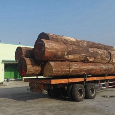 Πλακέτο υφή 2200mm κατασκευασμένη βελανιδιά φινίρισμα για εσωτερική διακοσμητική επιφάνεια