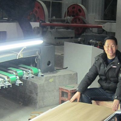 3D Προσαρμοσμένη καπλαμά ξύλου υφής 3DZM-L5.1N Προσαρμοσμένο φιλικό προς το περιβάλλον χωρίς ρόζους για έπιπλα πάχους 0,30mm