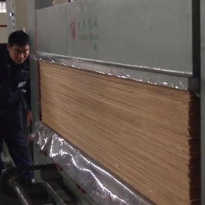 Πλακέτο υφή 2200mm κατασκευασμένη βελανιδιά φινίρισμα για εσωτερική διακοσμητική επιφάνεια
