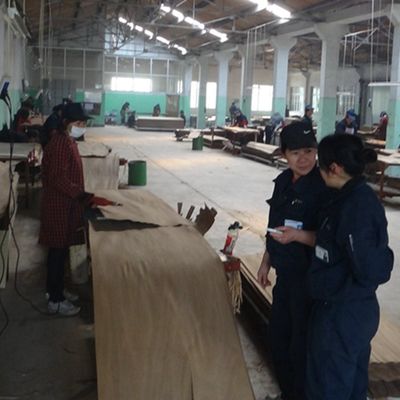 Δάχος Προσαρμοσμένο 0,18-0,6 mm Εργαζόμενο φινέρι ξύλου για τοίχο