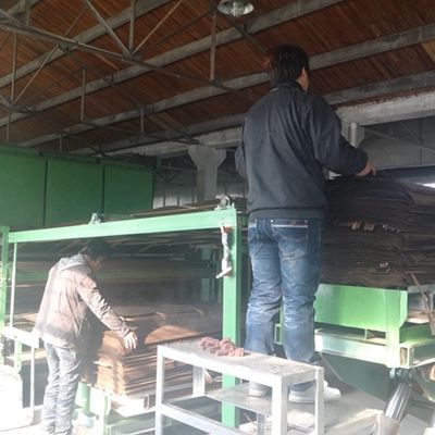 Φανταστική μηχανική φινέρα ξύλου από Quandong πάχος 0,18-0,6mm Για διακόσμηση ξενοδοχείων μπορεί να προσαρμοστεί