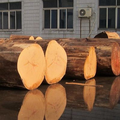 Προσαρμοσμένο Recon Elm Wood Veneer Straight Cut και Crown Cut για το πρόσωπο του ντουλαπιού 2500 * 640 mm