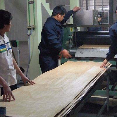 Υψηλού επιπέδου Custom MPF-X8033 Engineered Wood Veneer Maple Figured Grain Thickness Μπορεί να προσαρμοστεί