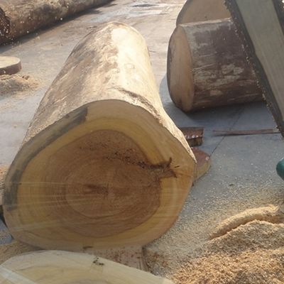 Ev Veneer Arrow X2033 Τεχνική κοπής σε φέτες Καθαρό κόκκινο χρώμα για εσωτερική διακόσμηση