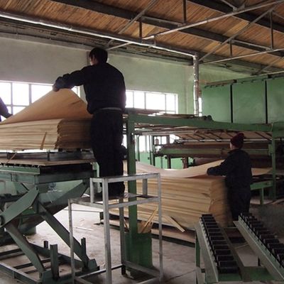 Ειδικά κατασκευασμένο ξύλινο φινίρισμα μαύρο και λευκό ρίζα 3N για διακόσμηση 3100mm