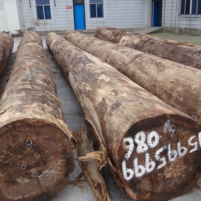 Τεχνολογική επένδυση από ξύλο βερίκης 205S/205C βαθμός Α για εσωτερικά εξαγωγικά πρότυπα για πόρτες και ντουλάπια