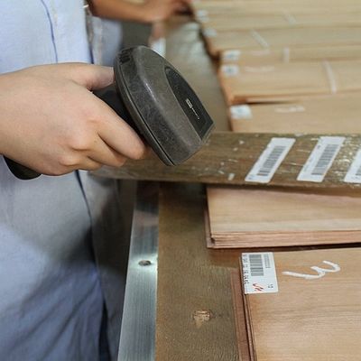 FSC φυσικό άσπρο τέφρας Burl σιτάρι σχεδίων καπλαμάδων σπειροειδές ένας βαθμός για το πάχος 0.50.55mm διακοσμήσεων ξενοδοχείων