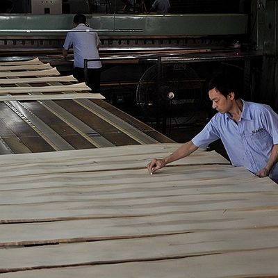 Αμερικάνικο λευκό βελανιδιά στερεό ξύλο φύλλο φέτα ευθεία για φανταχτερό πάνελ και βαμμένο ελαστικό 0,45mm πάχος