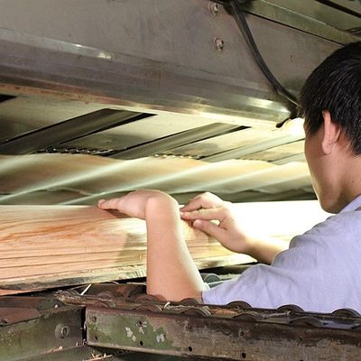φυσικός καπλαμάς τέφρας Tamo πάχους 0.5mm για το εσωτερικό και μουσικό όργανο αυτοκινήτων