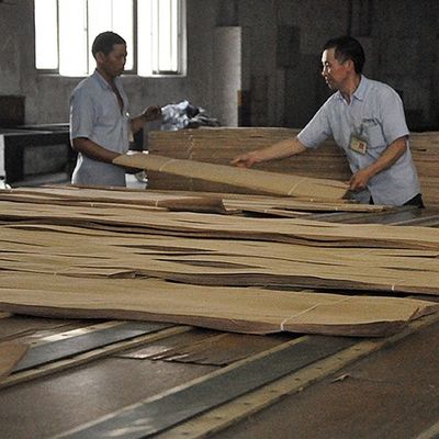 Τεχνητό φινέρισμα ξύλου από χρυσό δαχτυλίδι δέντρου 0,30 mm G.TR-X3388 κομμένο σε φέτες για το πρόσωπο του ντουλαπιού