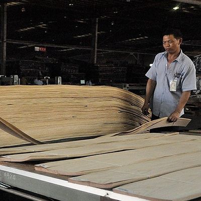 Teak βαθμού Αντιαεροπορικού Πυροβολικού ξύλινο καπλαμάδων ευθύ σιτάρι γραμμών αντίθεσης μαύρο για το φανταχτερό κοντραπλακέ