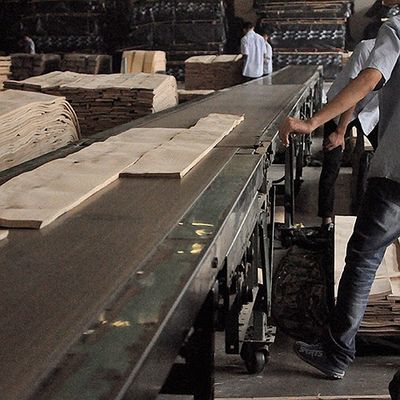 FSC φυσικό άσπρο τέφρας Burl σιτάρι σχεδίων καπλαμάδων σπειροειδές ένας βαθμός για το πάχος 0.50.55mm διακοσμήσεων ξενοδοχείων