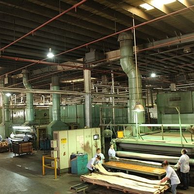 Μουσικό οργάνων πίσω σιτάρι 0.5mm βιολιών καπλαμάδων της Αφρικής λογαριασμένο Anegre ξύλινο