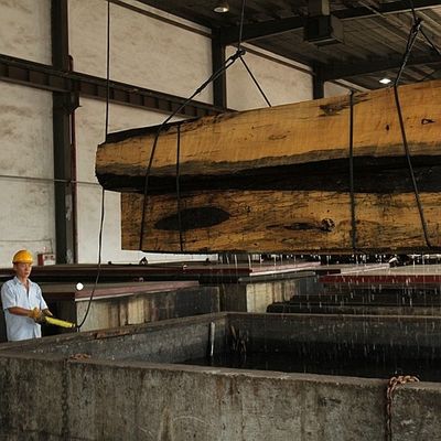 Μουσικό οργάνων πίσω σιτάρι 0.5mm βιολιών καπλαμάδων της Αφρικής λογαριασμένο Anegre ξύλινο