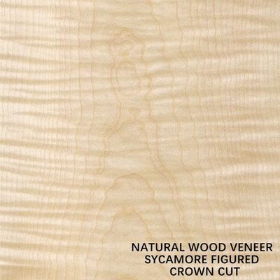 Sycamore της Ευρώπης φυσικό λογαριασμένο ξύλινο πάχος 0.5mm περικοπών κορωνών περικοπών καπλαμάδων επίπεδο για το θάνατο και το γραφείο