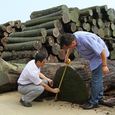 Τεχνολογική ξύλινη φένερα φέτα κόψιμο Wenge Quarter Grain Καλή τιμή για διακόσμηση ξενοδοχείου 3200mm