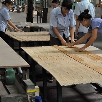 Νέος Σχεδιασμός Φανταχτερού Ανασυντεθειμένου Καπνισμένου Καπλαμά Ξύλου Ευκαλύπτου SWE-L343C/L439C 2500*640mm Για Σχεδιασμό Ξύλινων Πορτών