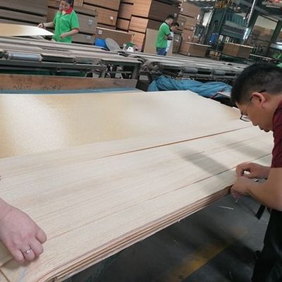 Κίτρινη καμφόρα Sapele Pommele High End Wood Veneer Ασυνήθιστη για διακόσμηση ξενοδοχείων