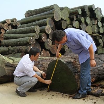 Νέος Σχεδιασμός Τεχνητού Καπλαμά Ξύλου Κέδρου FCW-L146N/L246C Τεχνική Κοπής σε Φέτες 2*8 Ίντσες Για Πρόσοψη Ντουλαπιού