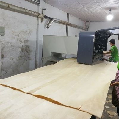 Υψηλού επιπέδου Recon Wood Veneer Natural Walnut Wt-X873n 2850mm μήκος για την επιφάνεια διακόσμησης πόρτας China Factory