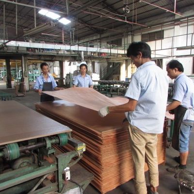 Υψηλού επιπέδου Recon Wood Veneer Natural Walnut Wt-X873n 2850mm μήκος για την επιφάνεια διακόσμησης πόρτας China Factory