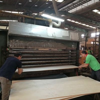Τριδιάστατο κόκκο για διακόσμηση ξενοδοχείων