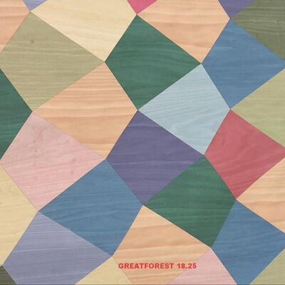 Καλλιτεχνικό παρκέ ξύλινο φινίρισμα 2500*640mm Χειροτεχνία Σταθερό σχήμα Προσαρμόσιμη τέχνη