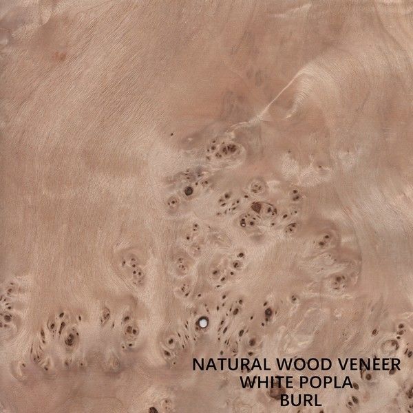 Της Ευρώπης φυσικό σιτάρι Mapa Burl καπλαμάδων λευκών ξύλινο υψηλό - ποιοτικό πάχος 0.5mm για το μουσικό όργανο