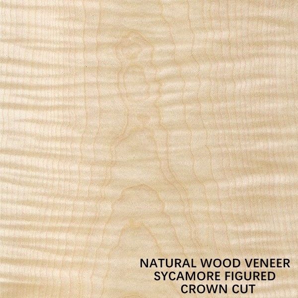 Sycamore της Ευρώπης φυσικό λογαριασμένο ξύλινο πάχος 0.5mm περικοπών κορωνών περικοπών καπλαμάδων επίπεδο για το θάνατο και το γραφείο