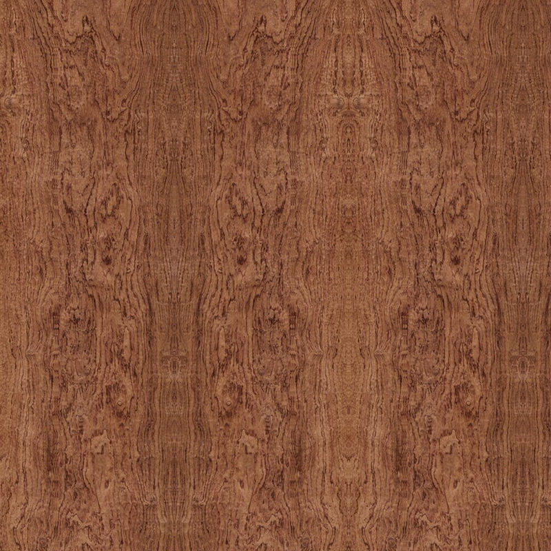 Ειδική φανταχτερή σανίδα από κόντρα πλακέ Elm Cluster για διακόσμηση ξενοδοχείου Χωρίς βαφή