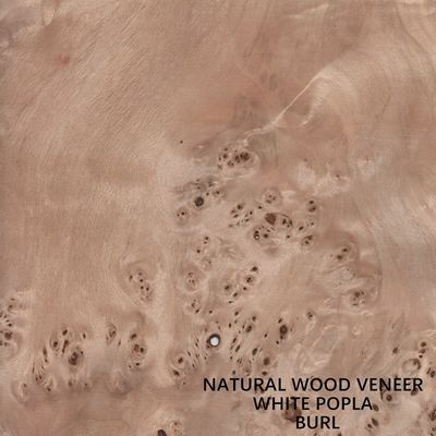 Της Ευρώπης φυσικό σιτάρι Mapa Burl καπλαμάδων λευκών ξύλινο υψηλό - ποιοτικό πάχος 0.5mm για το μουσικό όργανο