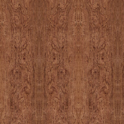 Ειδική φανταχτερή σανίδα από κόντρα πλακέ Elm Cluster για διακόσμηση ξενοδοχείου Χωρίς βαφή